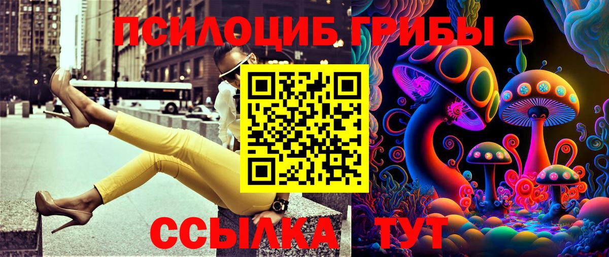 Сатка  Галлюциногенные грибы MAGIC MUSHROOMS  Вход с VPN  Галлюциногенные грибы Psilocybe 