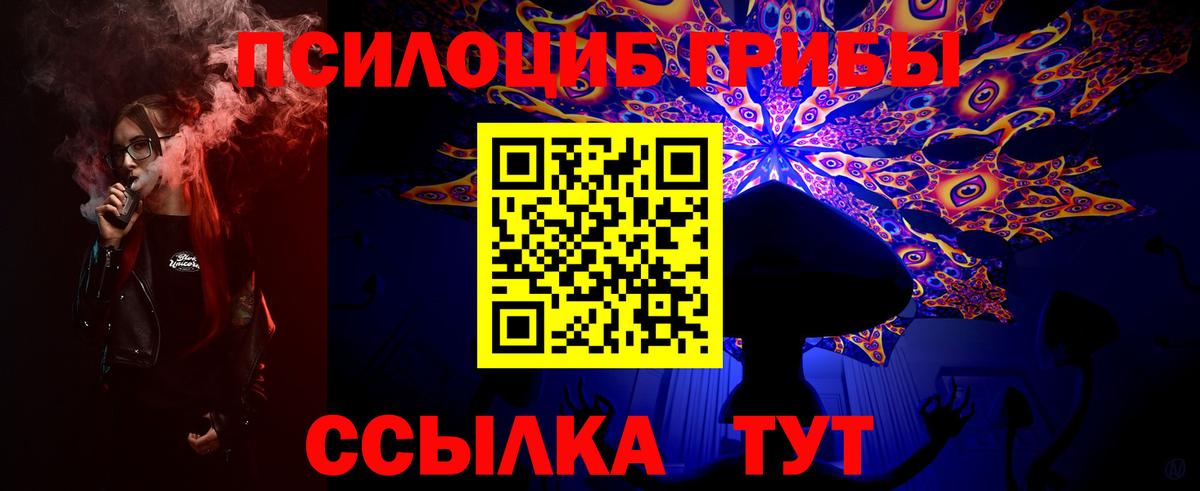 Галлюциногенные грибы Psilocybine cubensis Сатка